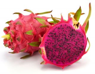 Red Dragon Fruit (pitaya) Plant Cuttings 7” - 11” Plant Seeds Rare Dragon Fruit Us