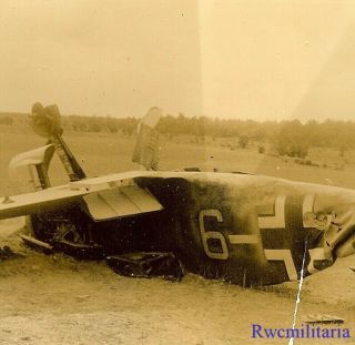 Rare Shot Down Luftwaffe Me - 109 Fighter Plane (white " 9 ") In Field (1)