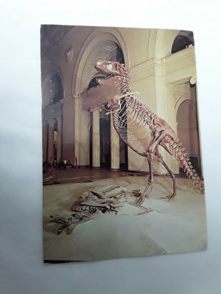 Rare Dinosaur Postcard From The Field Museum Of Natural History In Chicago