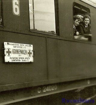 Rare Female Luftwaffe Blitzmädel Helferin Girls On Medical Railway Car
