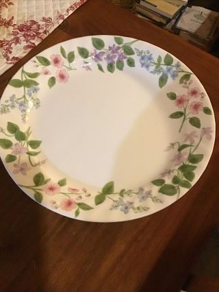 Corelle Delicate Array 10 1/4 " Dinner Plate 1 Rare Discontinued Floral