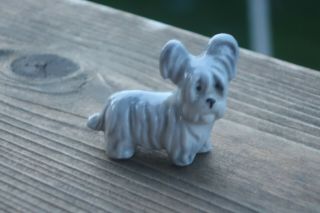 Rare Skye Silky Terrier Or Papillion Dog Puppy Figurine German Germany Stamped