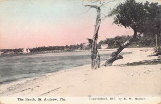 Fl - 1900’s Rare Florida The Beach At St.  Andrews,  Fla - Bay County