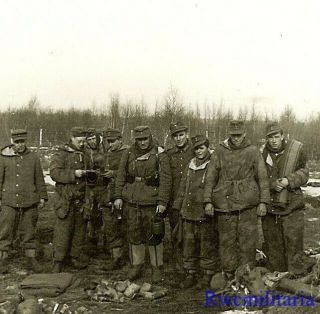Rare Group Veteran Looking Gebirgsjäger Troops In Camo Posed In Field