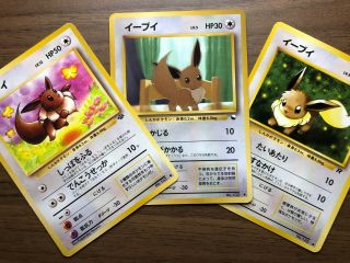 Rare | Eevee No.  133 Vintage 3 Cards Set | Pokemon Japanese Card