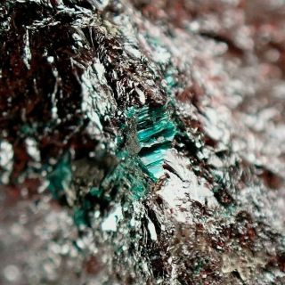 Rouaite Blue - Green Crystals On Cuprite Very Rare Tenke,  Dr Congo