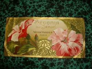 Rare Tb Etiquette Parfumerie Victor Vaissier Paris N°1138 Begonia Du Japon
