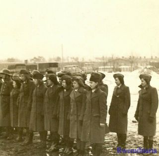 Port.  Photo: Rare Luftwaffe Blitzmädel Helferin Girls Lined Up In Winter Field