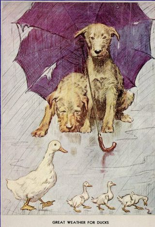 1932 Rare Color Dog Print Morgan Dennis Calendar Card Irish Terrier Ducks