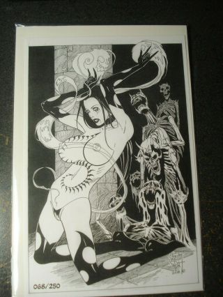 Tarot Witch Of The Black Rose Numbered 068/250 Litho Print White Raven Hex Rare