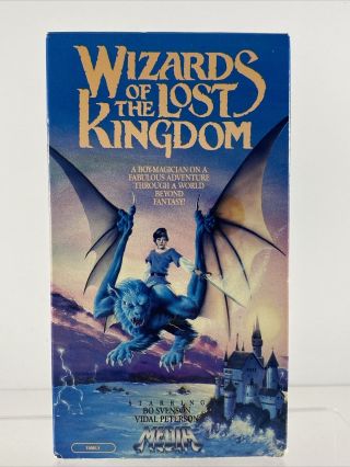Wizards Of The Lost Kingdom (vhs,  1985) Bo Svenson Rare Mst3k Hector Olivera