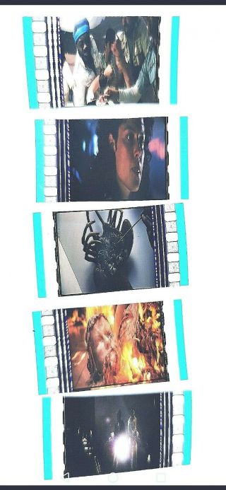 Alien 1979 35mm Set Of Five Loose Cells Rare Set 7 Ridley Scott