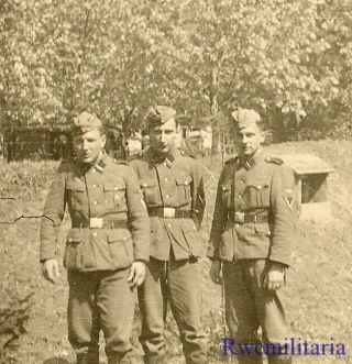 Rare Trio German Elite Waffen Sturmmann Soldiers Posed In Field