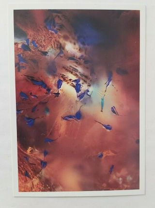 4ad Vaughan Oliver Rare Postcard Cocteau Twins Victorialand Stunning
