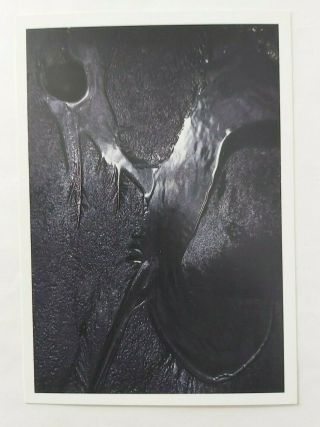 4ad Vaughan Oliver Rare Postcard Cocteau Twins The Pink Opaque Stunning Cond