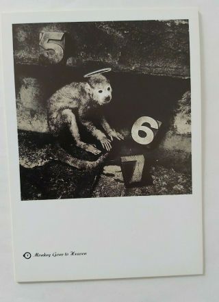 4ad Vaughan Oliver Rare Postcard Pixies Doolittle Monkey Gone To Heaven Top Cond