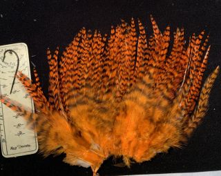Hachey’s Custom Dyed Grizzly Strung Hackle Feathers Salmon Fly Tying Flies Rare