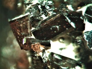 Vesuvianite Rare Mineral Micromount From Italy