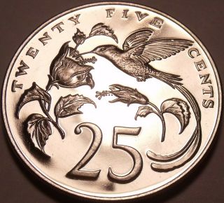 Huge Rare Proof Jamaica 1970 25 Cents Hummingbirds Only 12,  000 Minted