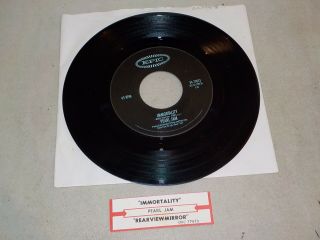 Pearl Jam " Immortality / Rear View Mirror " Rare Vinyl 45 Rpm Record Re8287