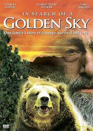 In Search Of A Golden Sky Dvd 2006 Oop Movie Charles Napier Like Rare
