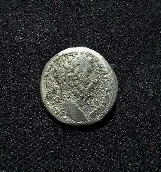 Ancient Roman Emperor Augustus Silver Coin Roman Elephant Very Rare