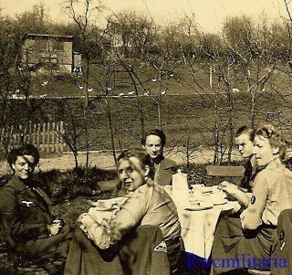 Rare Female Wehrmacht Blitzmädel Helferin Girls Having Tea Time Outside