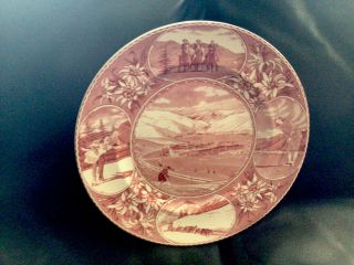 Vintage Pink Sun Valley,  Idaho Old English Staffordshire Souvenir Plate Rare