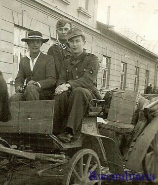 Rare Pair German Elite Waffen Soldiers Riding On Civilians Horse Cart