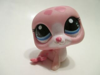 Littlest Pet Shop 2239 Rare Pink Sea Lion Seal Authentic Blemished
