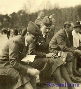 Rare Pair Female Wehrmacht Blitzmädel Helferin Girls Seated On Bench
