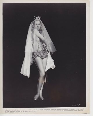 Rare Sexy Anne Francis Leggy Pin Up 8x10 Photo