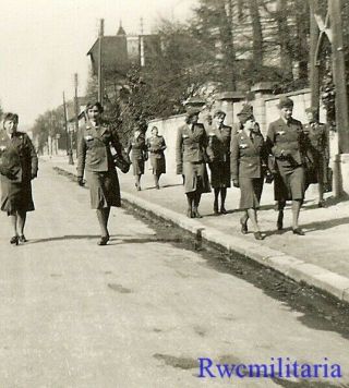 Rare Female Uniformed Wehrmacht Blitzmädel Helferin Girls Out For Walk