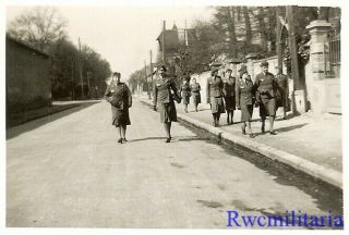 RARE Female Uniformed Wehrmacht Blitzmädel Helferin Girls Out for Walk 2
