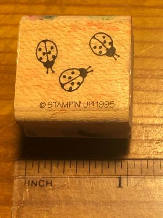 1995 Stampin Up Ladybugs Insect Calendar Wood Mounted Rubber Stamp Very Rare