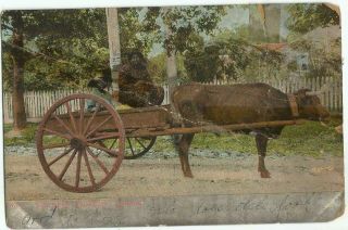Cape Girardeau,  Mo Missouri 1908 Postcard,  Rare Steamboat Stamp