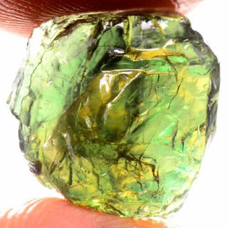 Rare Stone 10.  55ct Unheated Kornerupine Rough 100 Natural Facet Specimen Nr