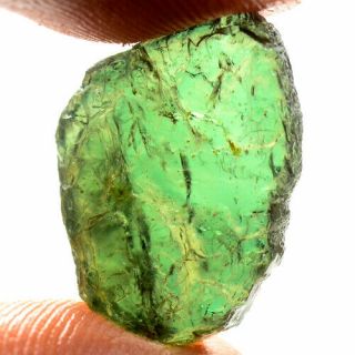 Rare Stone 12.  80ct Unheated Kornerupine Rough 100 Natural Facet Specimen Nr