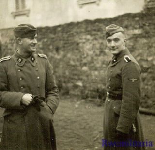 Rare German Elite Waffen Unterscharführer 