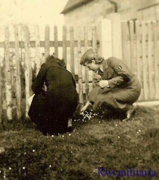 Rare Female Uniformed Wehrmacht Blitzmädel Helferin Girls Picking Flowers