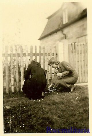 RARE Female Uniformed Wehrmacht Blitzmädel Helferin Girls Picking Flowers 2