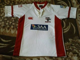 Rare Rugby Shirt - Johannesburg Cats The Lions Home 2005 - 2006 Size S