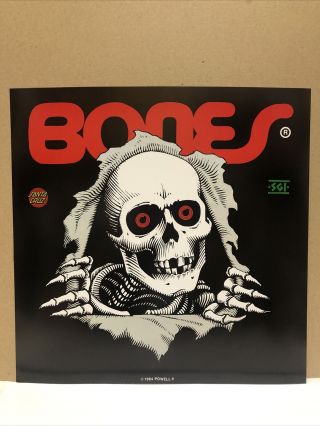 Vtg 1984 Bones Brigade Powell Peralta Santa Cruz Skateboard Promo Nos Poster
