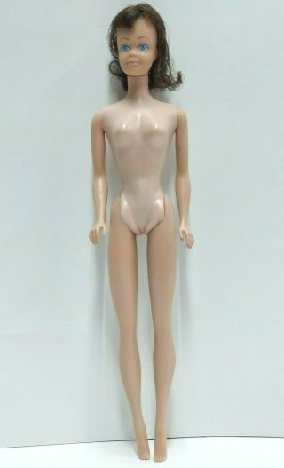 Vintage 1960s Freckle Face Straight Leg Brunette Midge (friend Of Barbie)