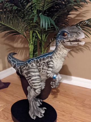 Jurassic World Life Size Baby Blue Raptor Statue 1:1 Chronicle Collectibles