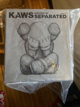 Kaws Separated Grey Vinyl Figure - In Hand Ships Now