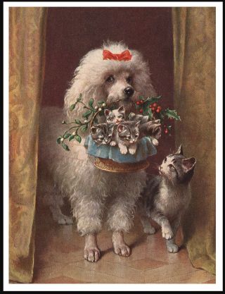 Poodle With Cat And Kittens In A Basket Vintage Style Dog Art Print Poster
