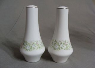Vintage Taihei Fine China Salt & Pepper Shaker Set Springtime Pattern,  Japan