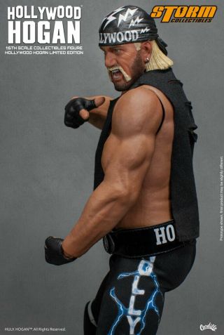 Hollywood Hulk Hogan Autographed Storm Collectibles 1/6 Action Figure