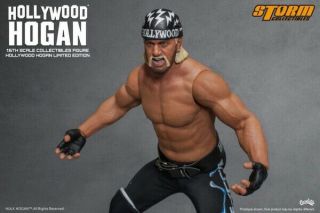 Hollywood Hulk Hogan Autographed Storm Collectibles 1/6 Action Figure 3